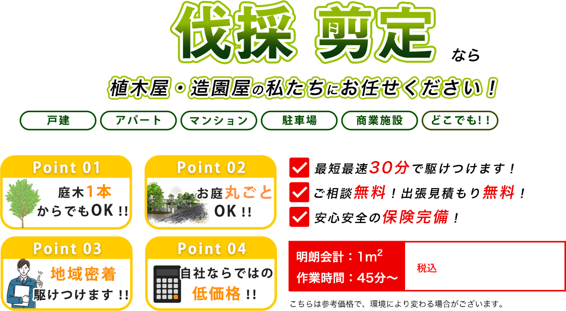 伐採 剪定なら植木屋・造園屋の【山梨県】庭木・高木伐採専門店にお任せください！　最短最速30分で駆けつけます！　ご相談無料！出張見積もり無料！　安心安全の保険完備！