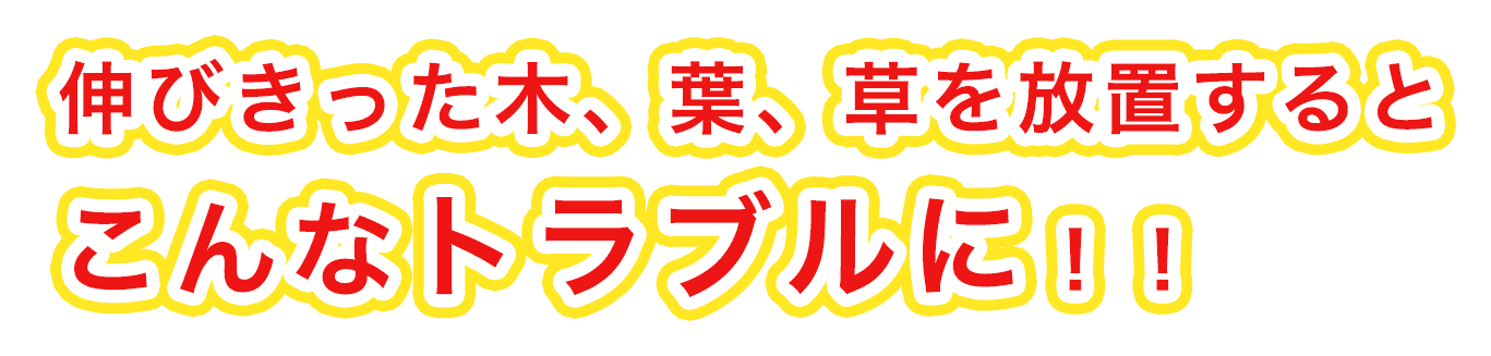 伸び切った木、葉。草を放置するとこんなトラブルに！！